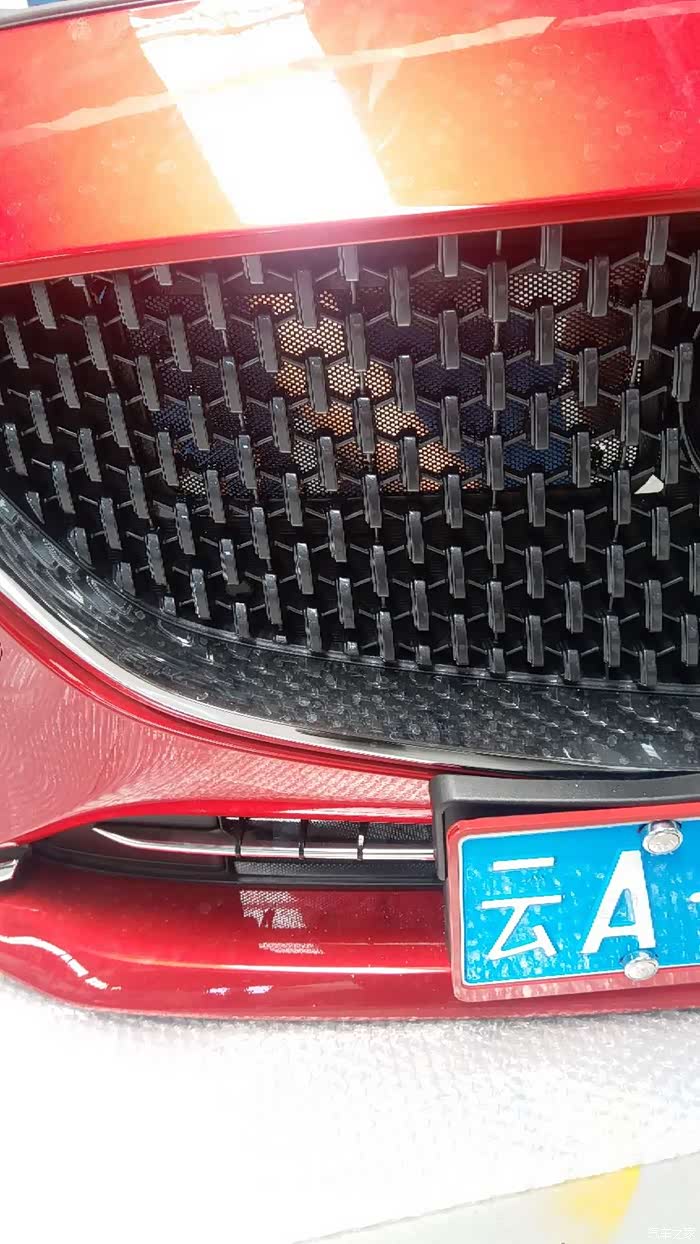 【图】2020款阿特兹新车安装防虫网_阿特兹论坛_汽车之家论坛