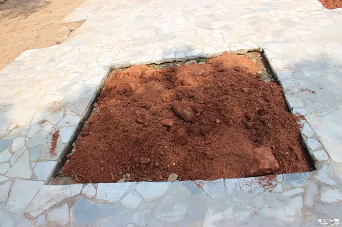 地面还有这样的小泥坑,上面覆盖的一些泥土还有着一定的芬芳的味道,看