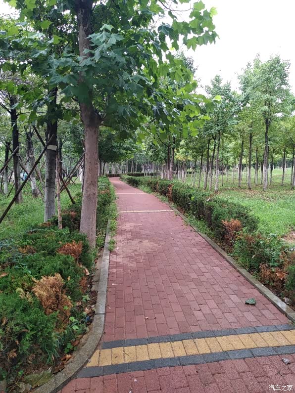 辽宁长安车友俱乐部871熟悉又陌生的锦泉公园