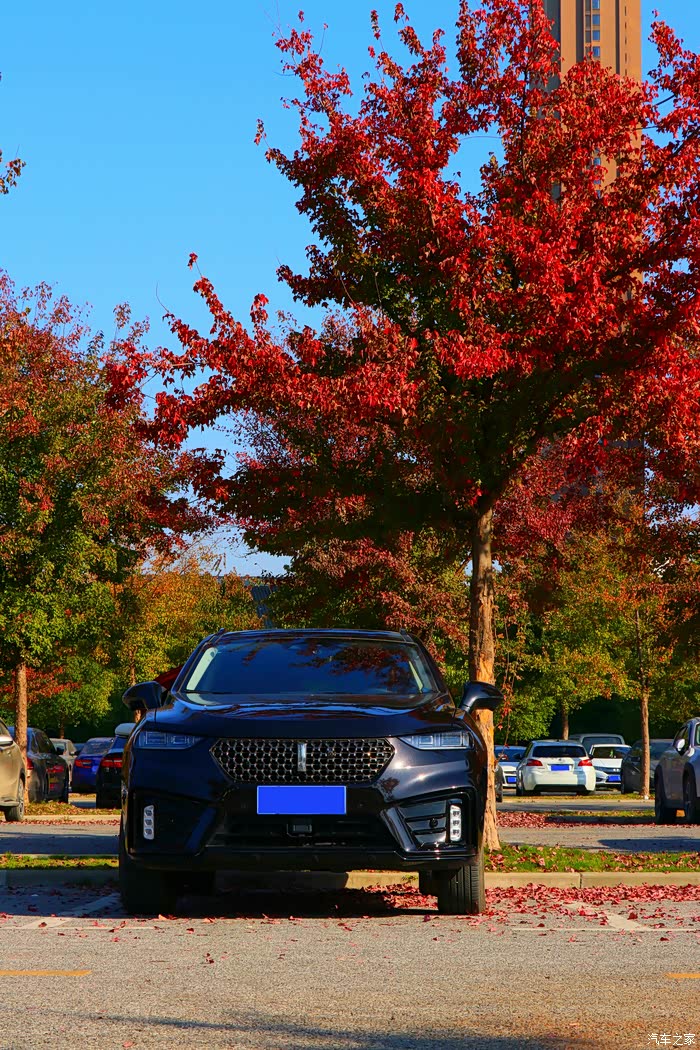 700_1050竖版 竖屏