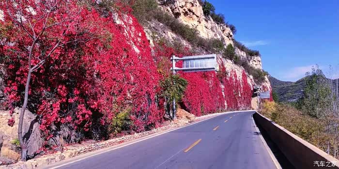 最美省道公路平涉线