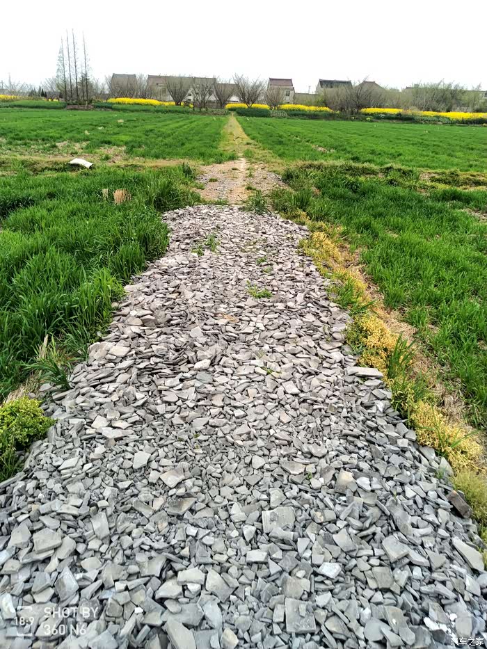 田间小道,新铺的碎瓦片.