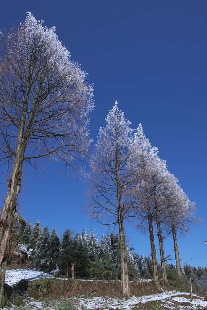 雪霁天晴,皑皑白雪和温暖阳光把延绵深山装扮成银装素裹的世界.