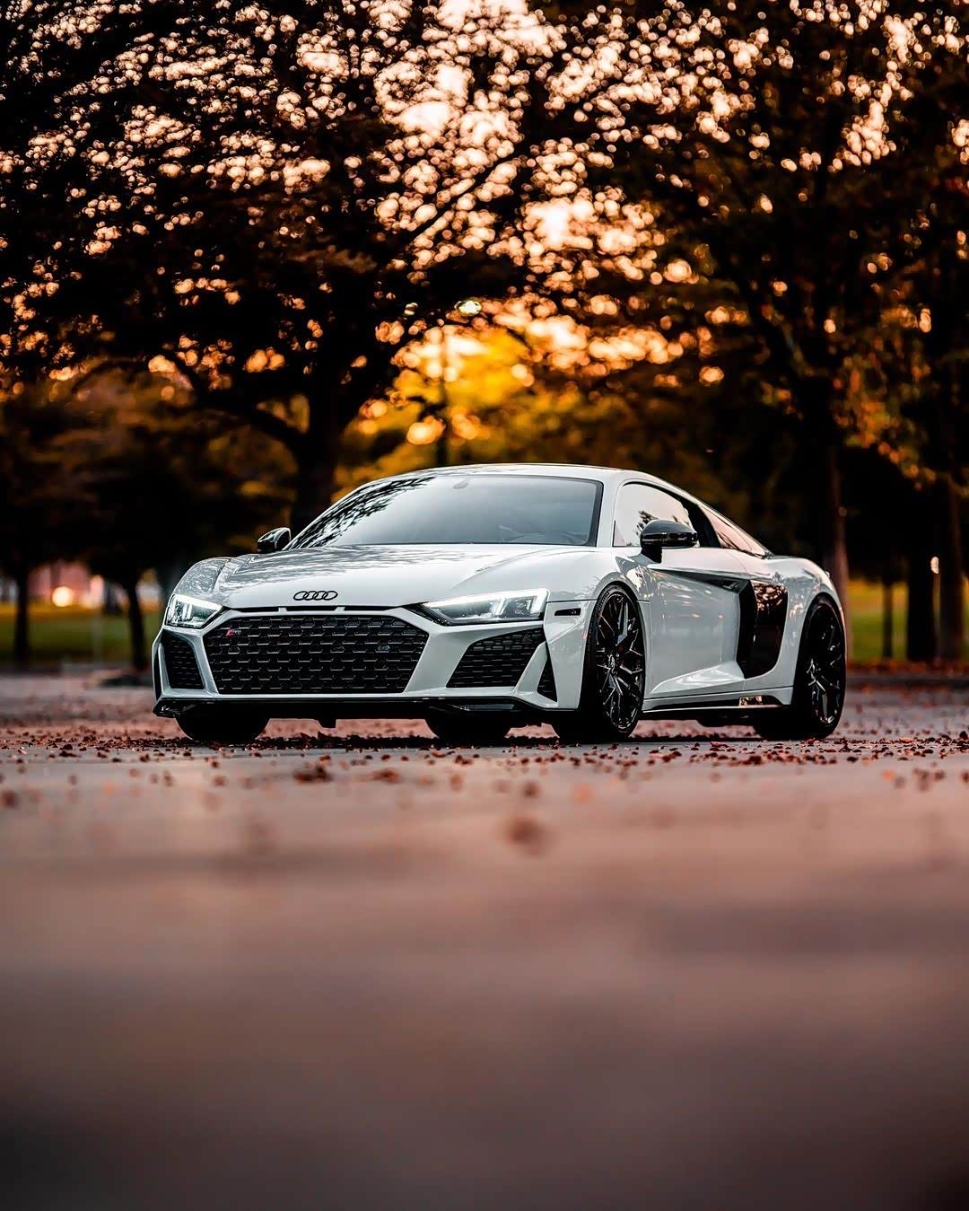 1080_1349竖版 竖屏