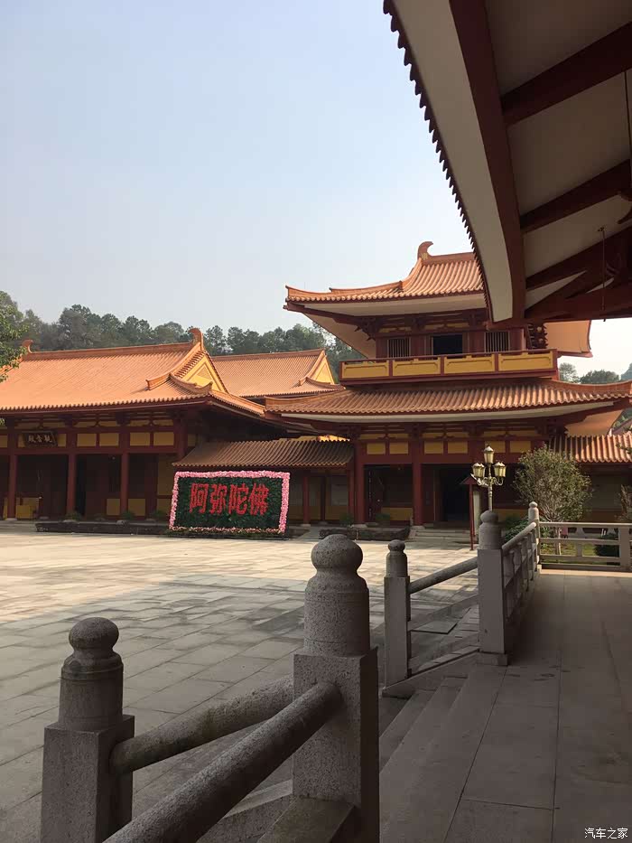 不负暖阳携哈二去本焕寺晒太阳