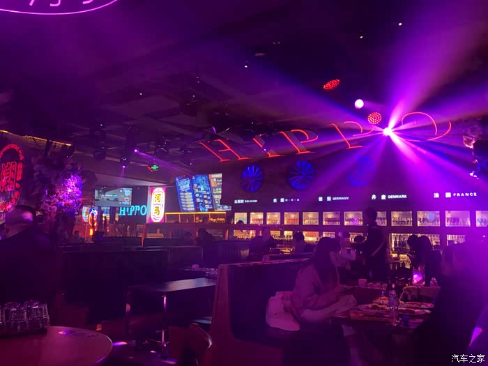 打卡新酒吧河马公社