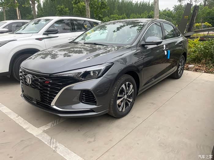 安第斯灰的逸动plus