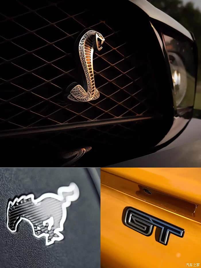 蛇标谢尔比无敌