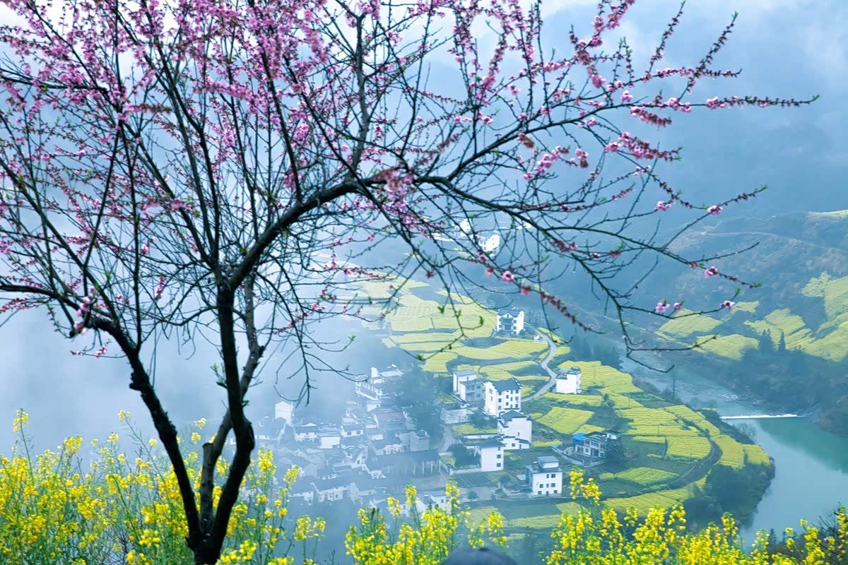 婺源的春天,美丽极了!