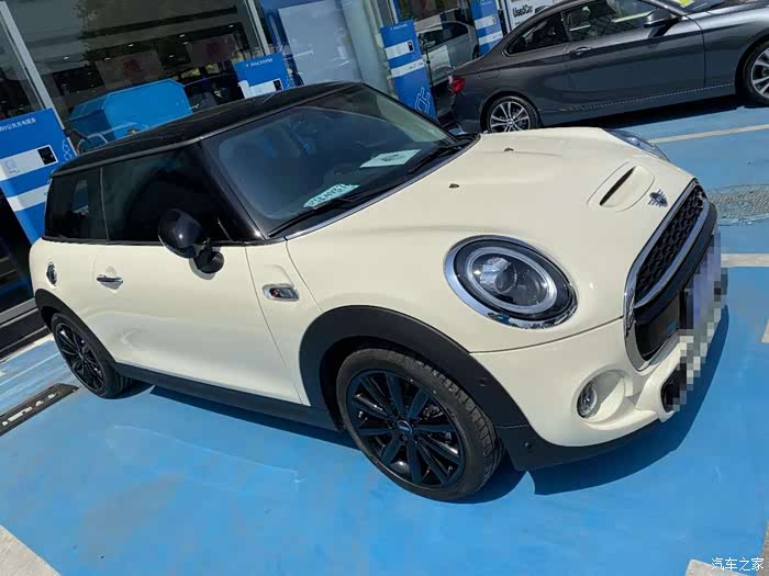 家有粉猪初长成可爱萌蠢小mini诞生记