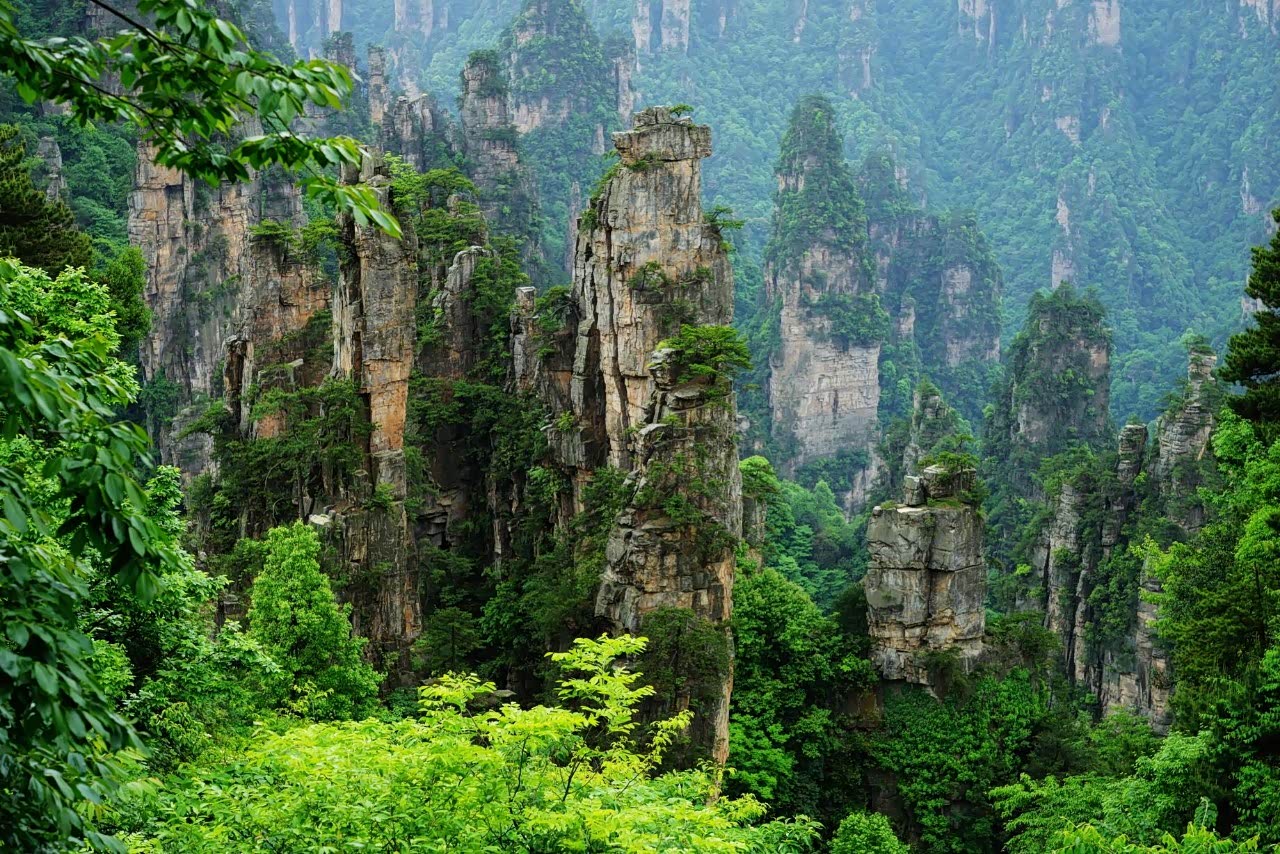 前往美丽的张家界看美丽的风景