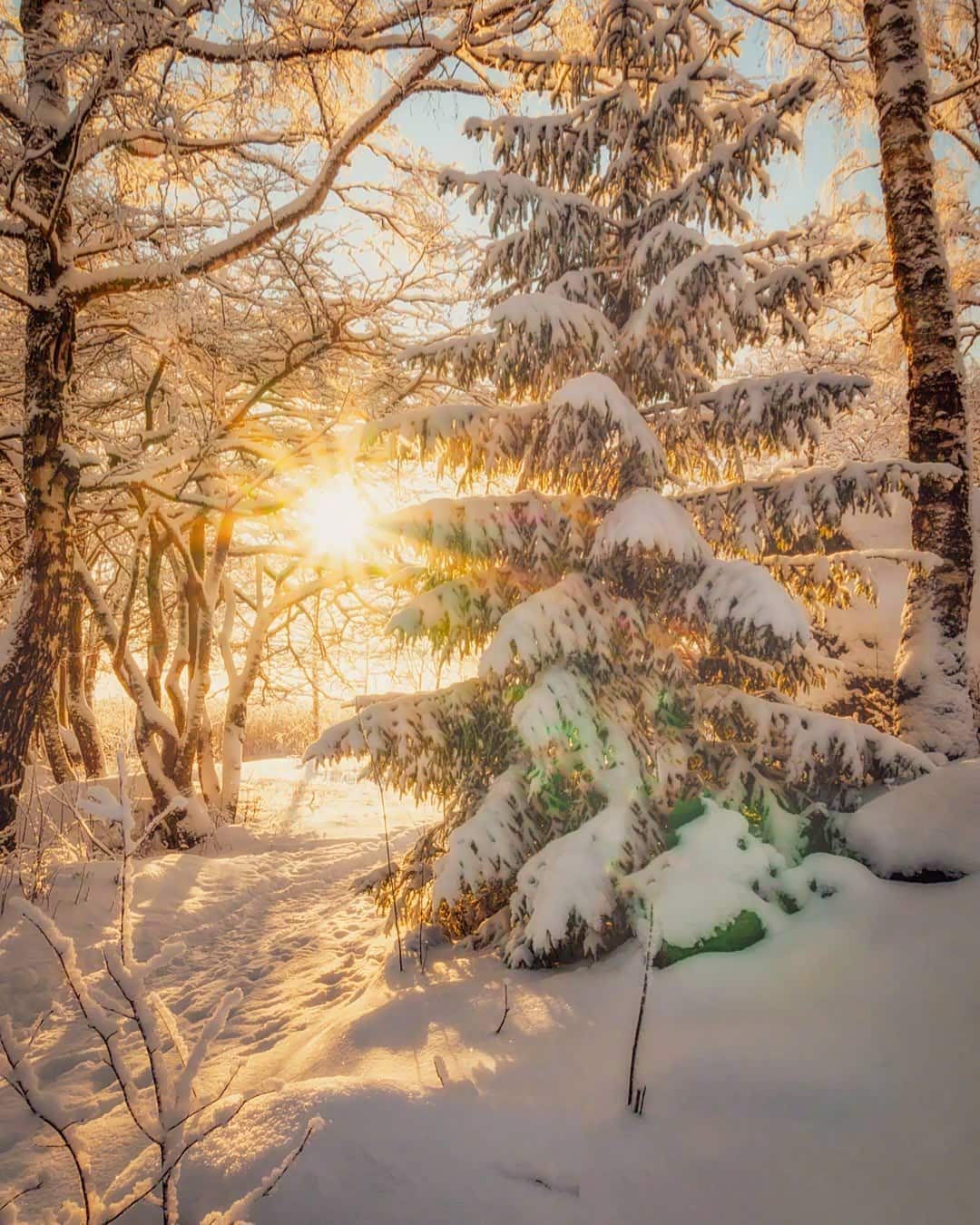 雪地里的阳光好耀眼闪亮.