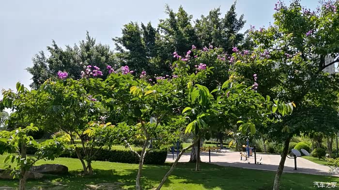 晋江市绿洲公园原名晋江人生态公园