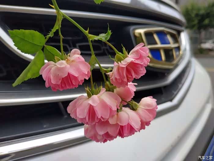 缘份让我们相遇 余生从你的全世界路过