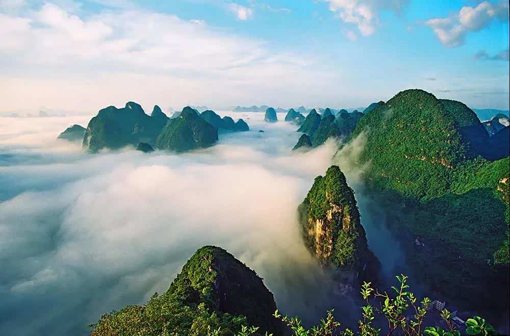 走进青青草原牧场,感受自然风景大片,翠绿的自然色彩