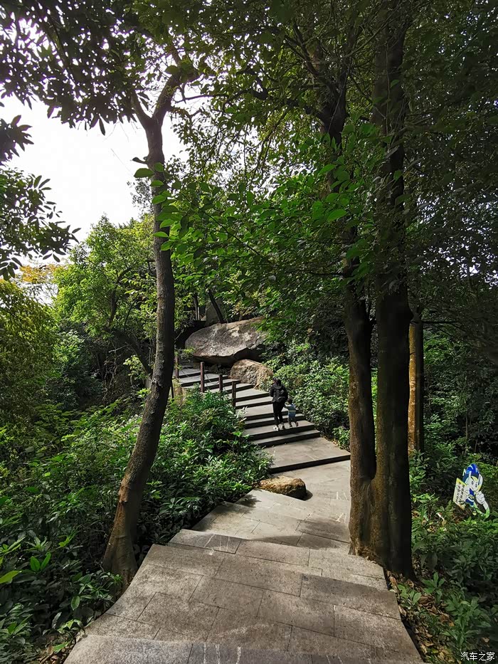 20220214罗三妹山