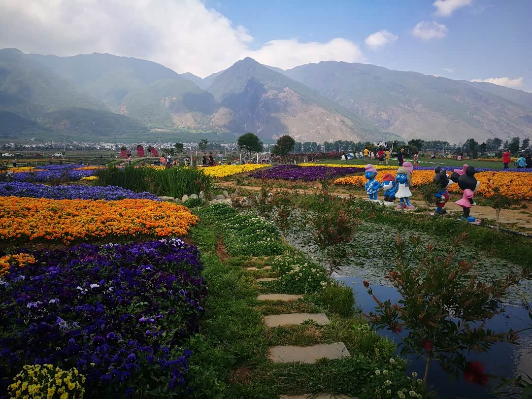 【图文】云南大理花语牧场(一)