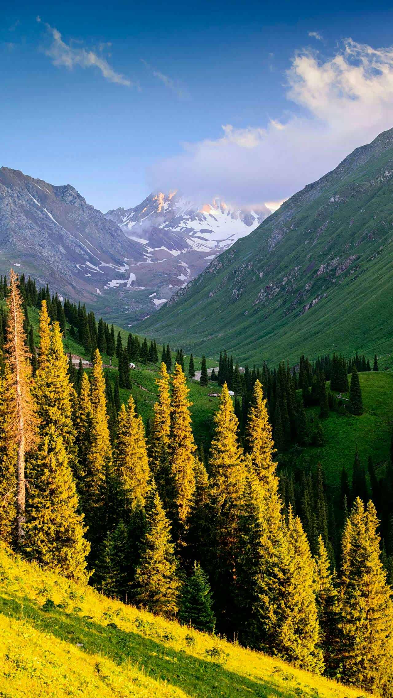 粘贴美丽的心情复制醉人的风景打印甜美的笑容