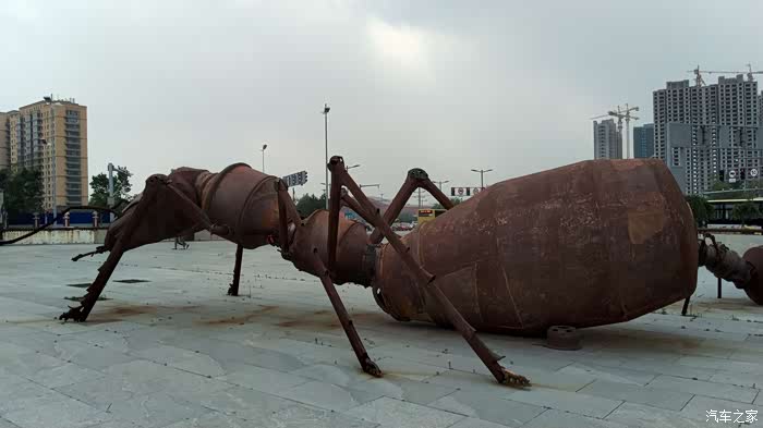 【黑龙江cs家族】发现身边之美好逛西城红场