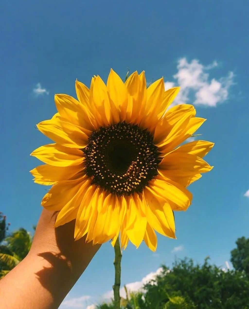 美好的一天,从微笑开始.