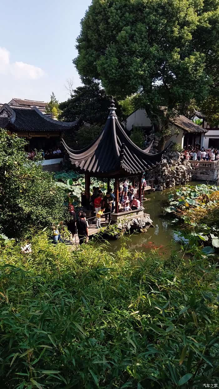 大白带我一路向南苏州狮子林游记