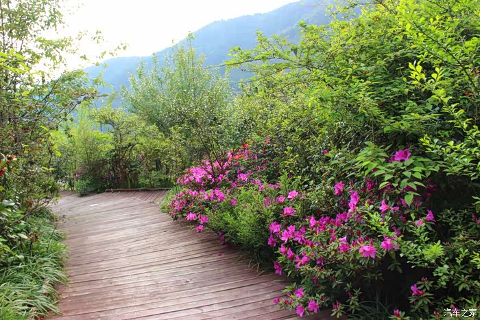 去山林之中寻找春天的变化