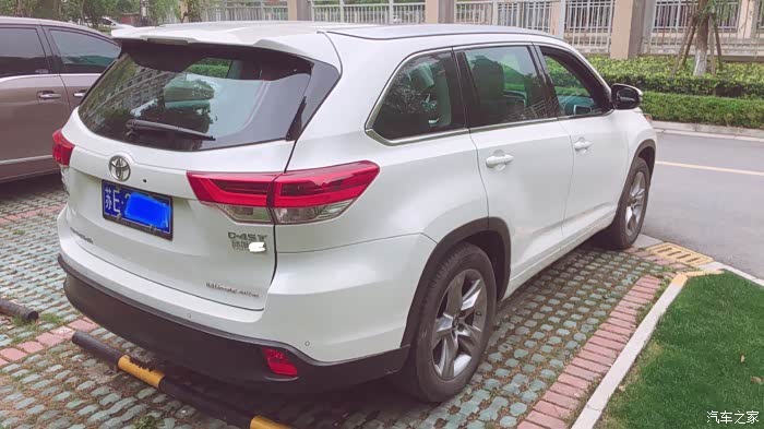 春日恋歌我和大白的百花情