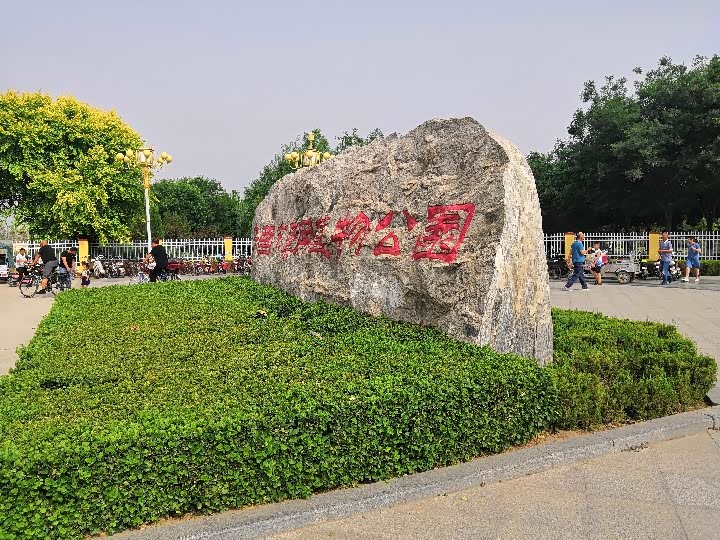 周末游安国植物园