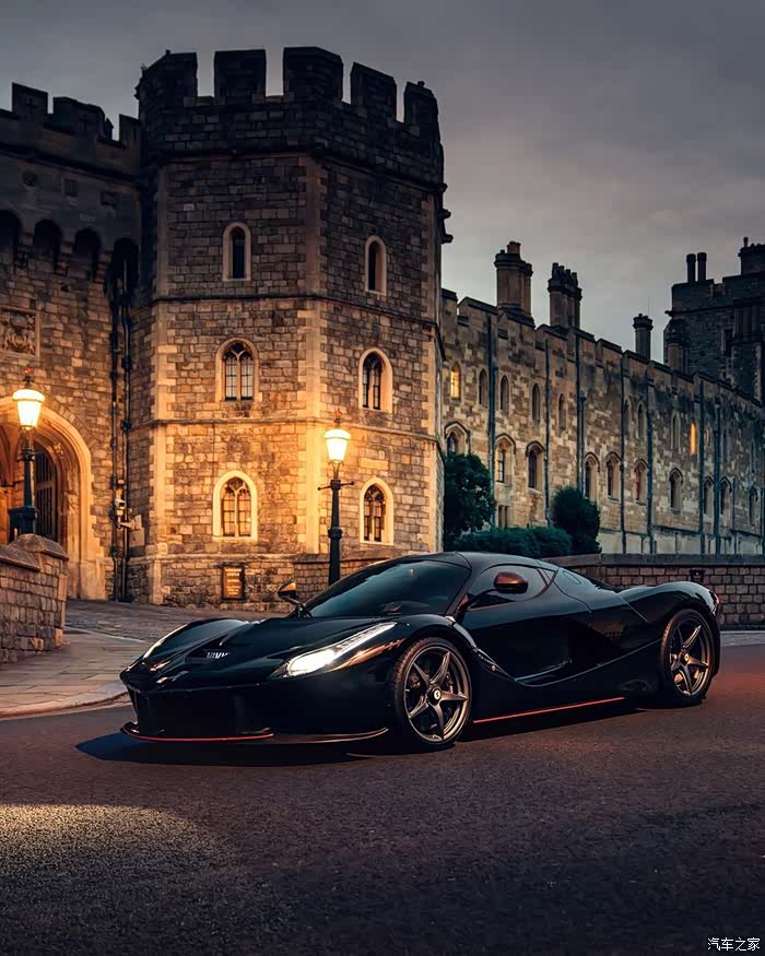 夜幕下的霸气猛兽.