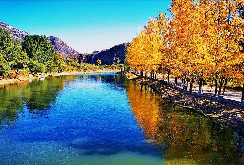 永定河进行秋季生态补水水过之处两岸秋色愈加丰美