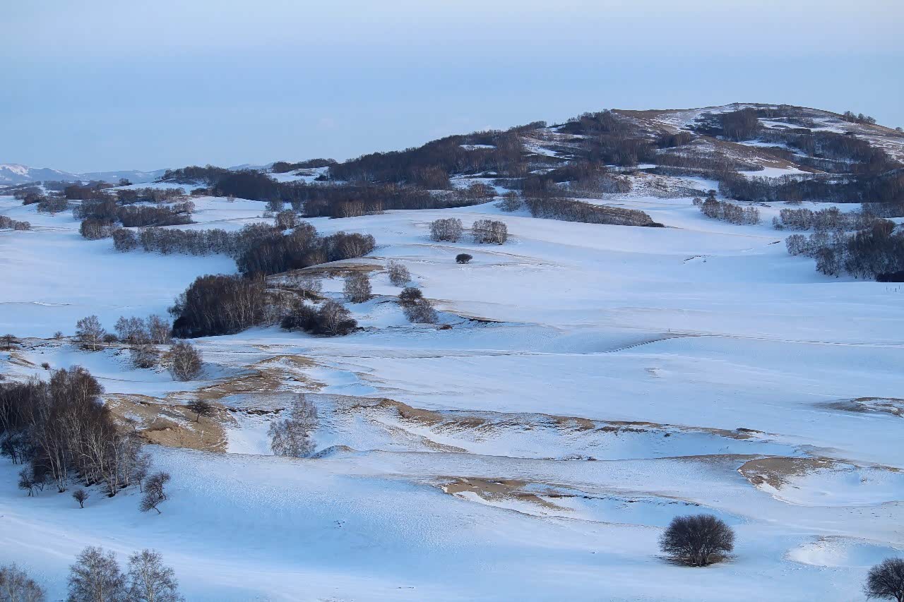 雪中的乌兰布统大草原.