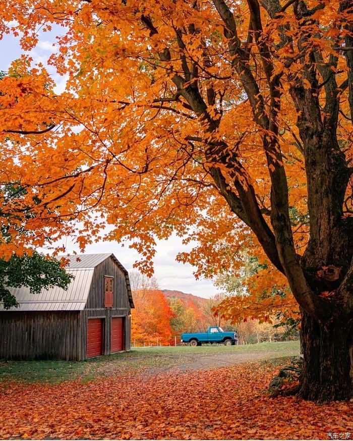 加拿大魁北克的秋季,是极具代表性的枫叶铺满了漫山遍野