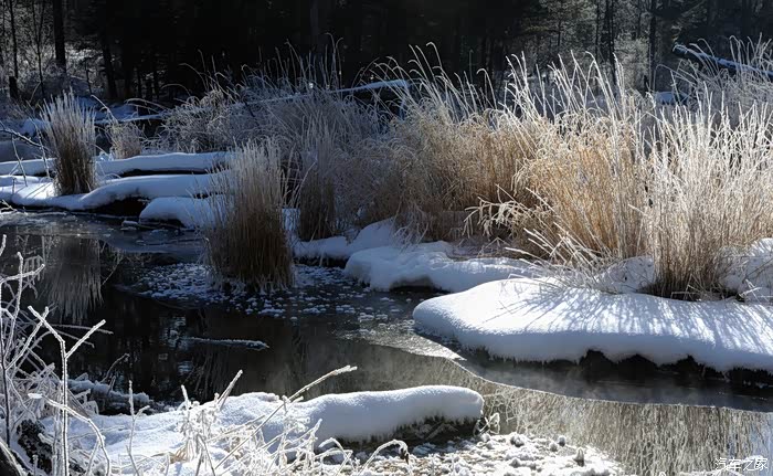 细雪开始乱舞,心也跟着起伏