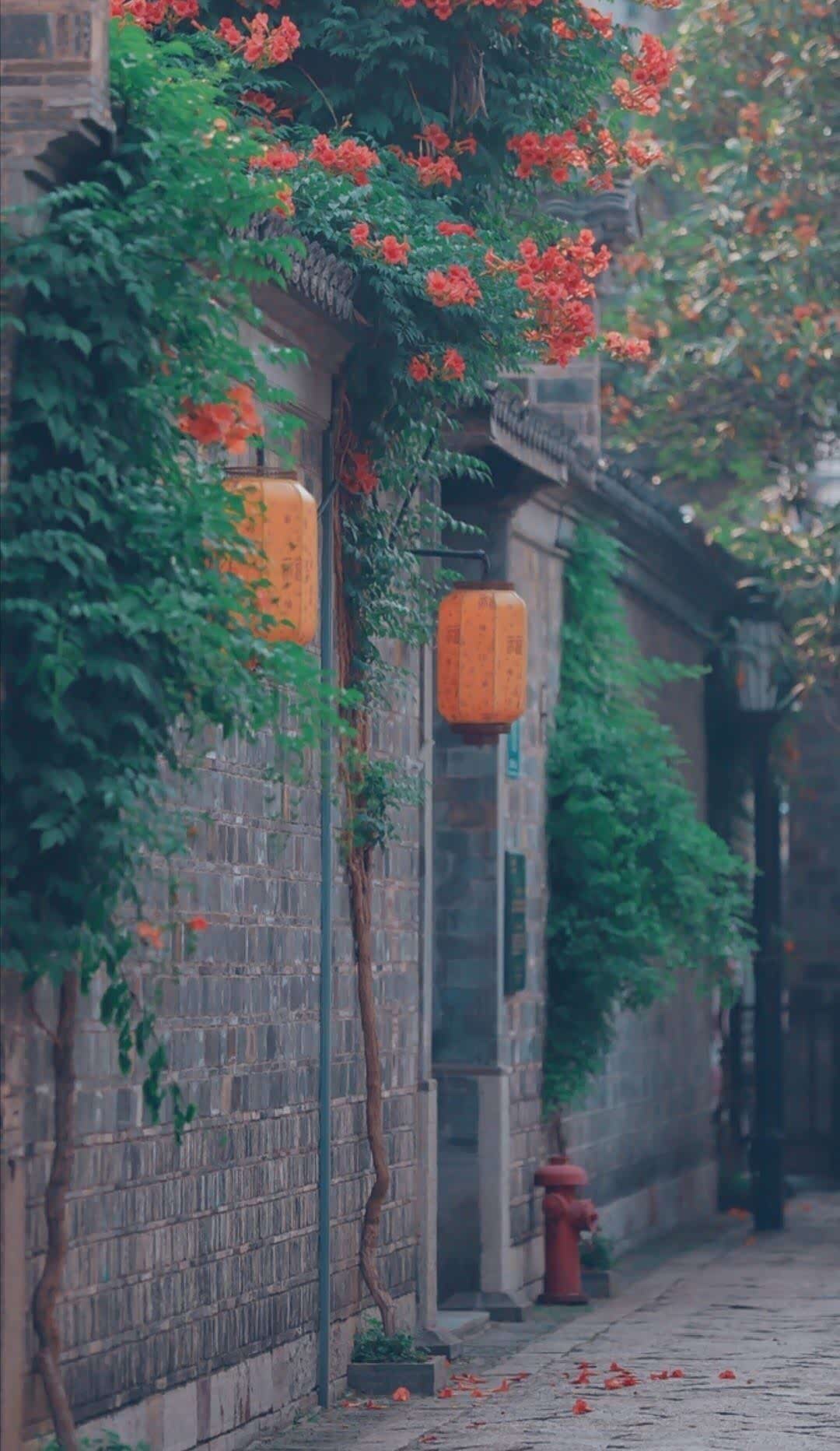 小巷花香,胡同悠长 .