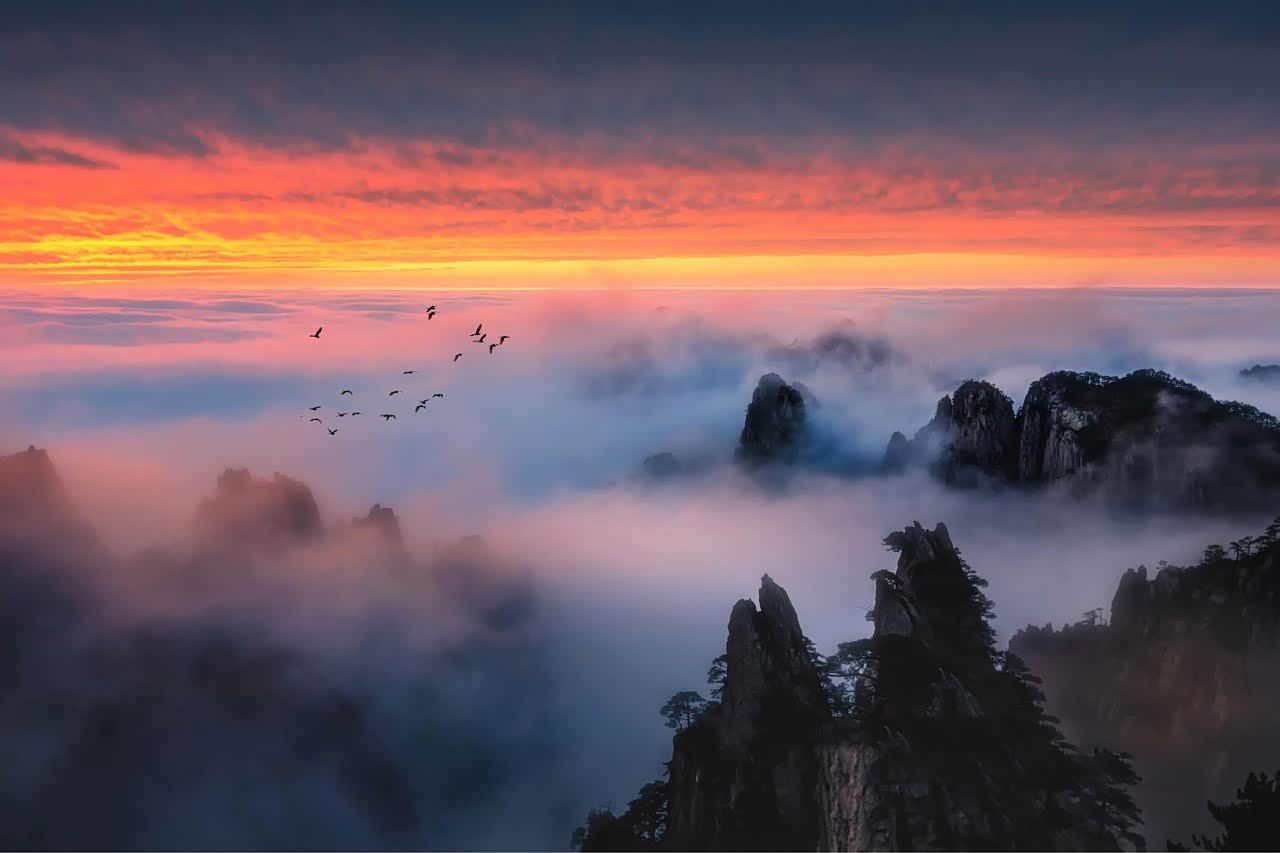 云雾缭绕的黄山,美出天际!