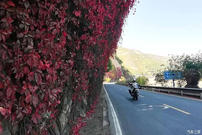 最美省道公路平涉线