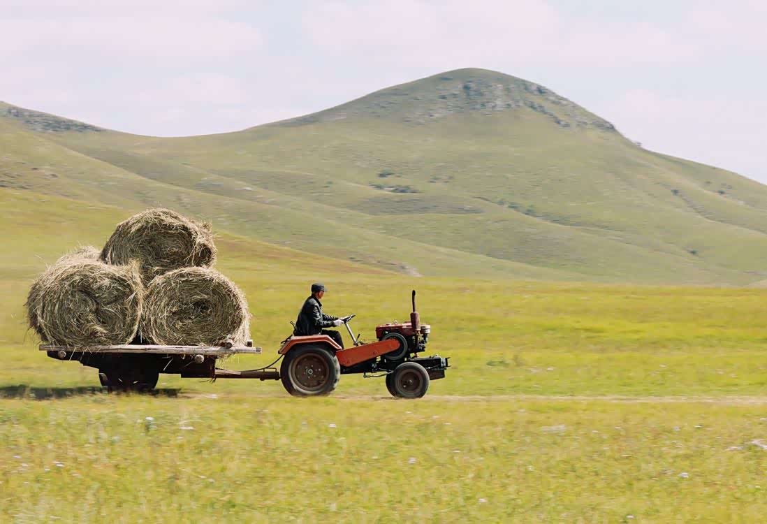 金秋时节,是收获的季节,草原牧民进入一年一度的打草季.