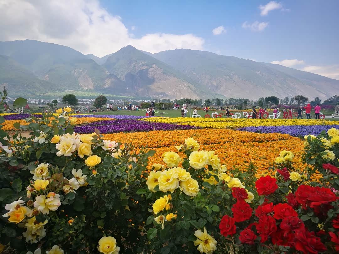 【图文】云南大理花语牧场(一)