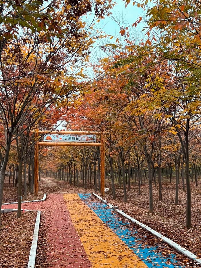 东庵森林公园来了一次徒步旅行