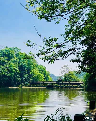 风景非常美,全是苍天大树