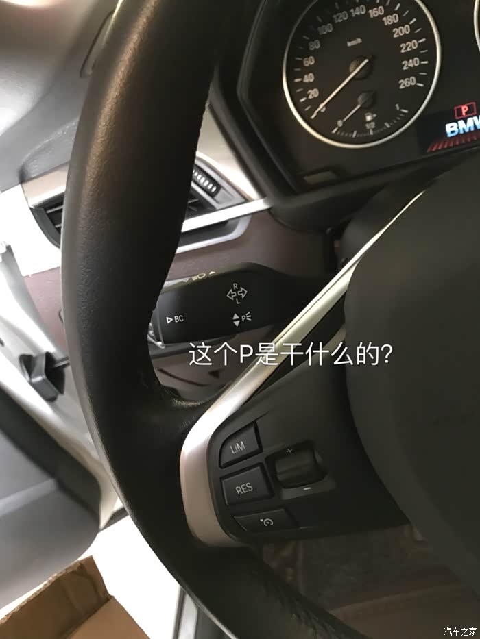 转向灯拨杆上有个p字有什么功能吗