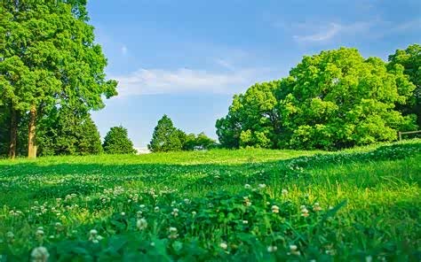 背起行囊出发吧,走进大自然绿色的世界,感受自然的清风