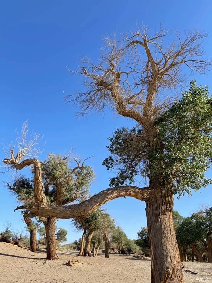 新疆是个好地方疫情常态化下的完美旅行需要小确幸