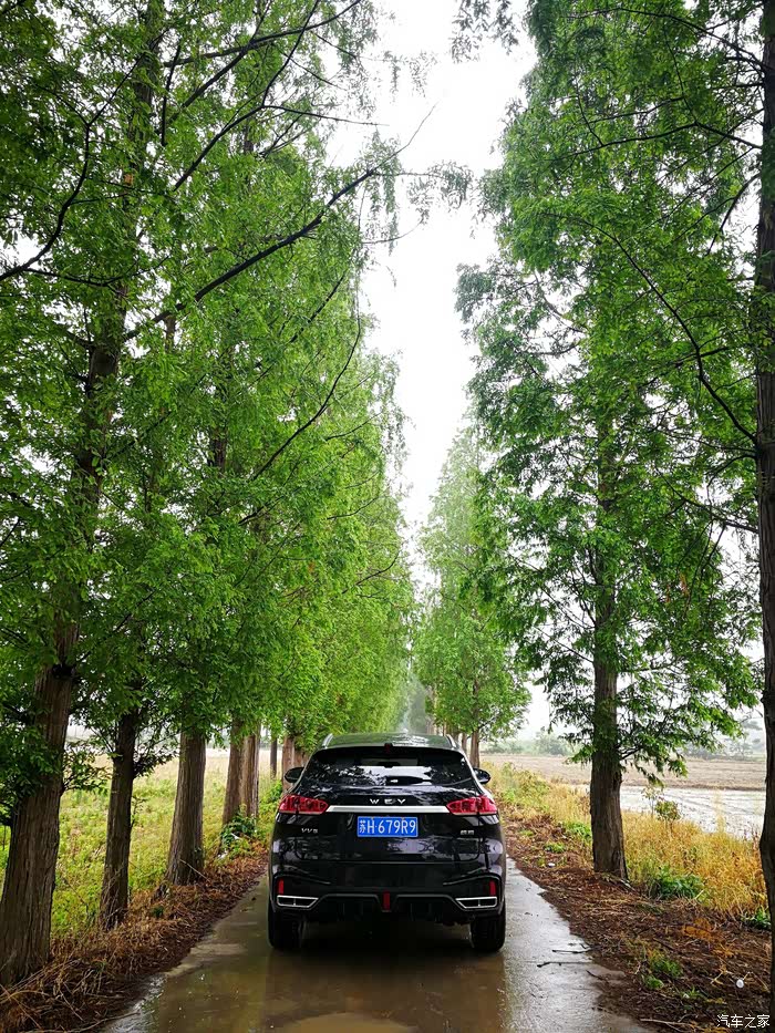 【图】【15周年】9夏日小雨沾衣裳,帅气v5游乡间_湖北论坛_汽车之家