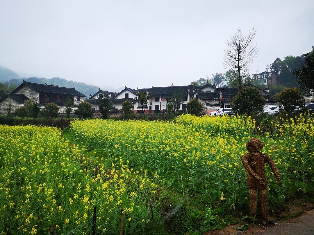 小欧在白玉堂油菜花海中穿梭奔驰