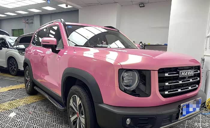 【图】粉色大狗还挺好看的_哈弗大狗论坛_汽车之家论坛