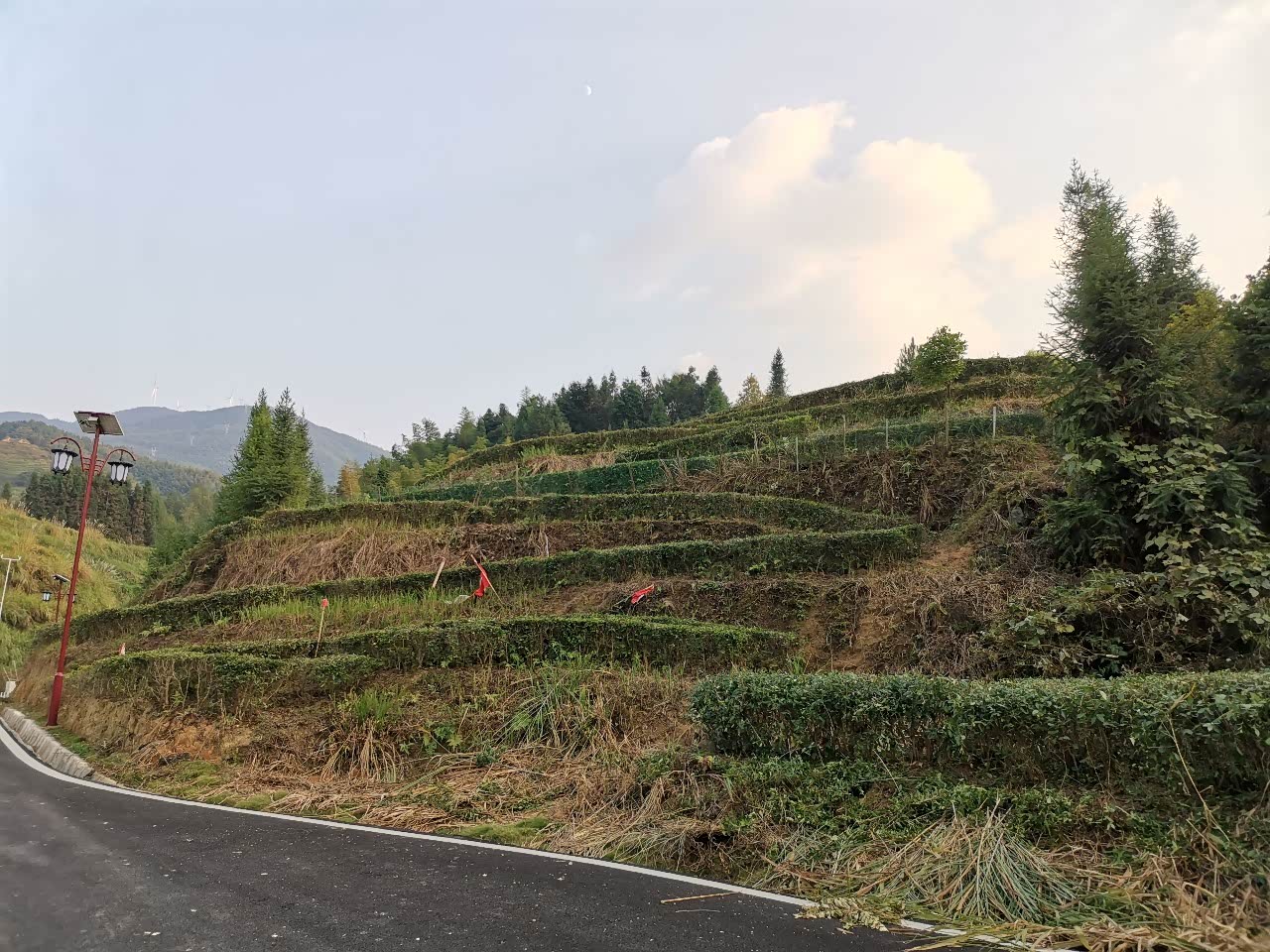 铜鼓县永宁镇坪田村风光