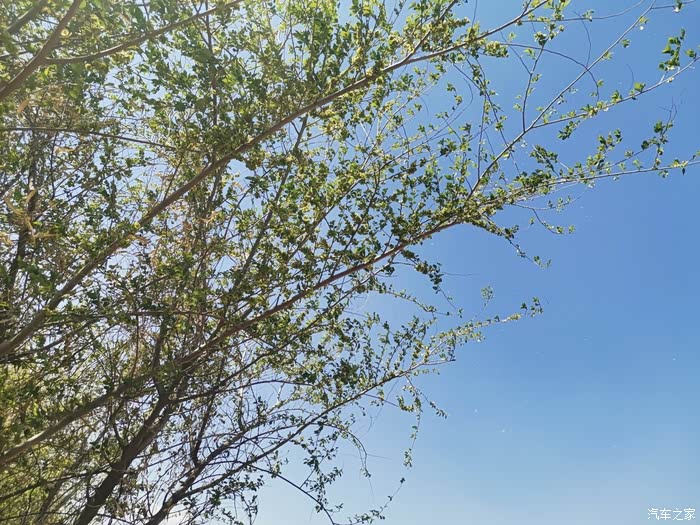 开着我的小五找寻春天的美好