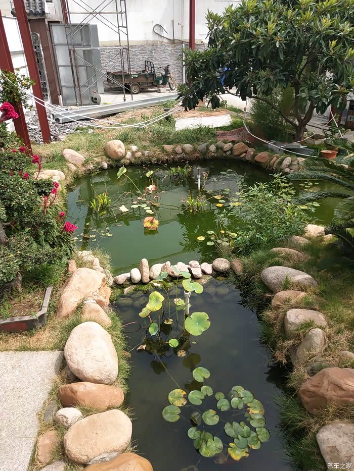 偷得半日闲陪家人农庄走走陪伴是最大的幸福