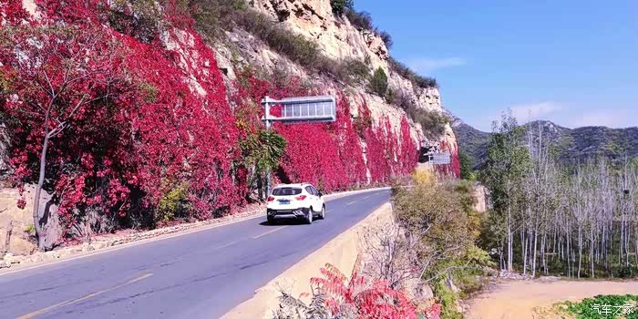 最美省道公路平涉线